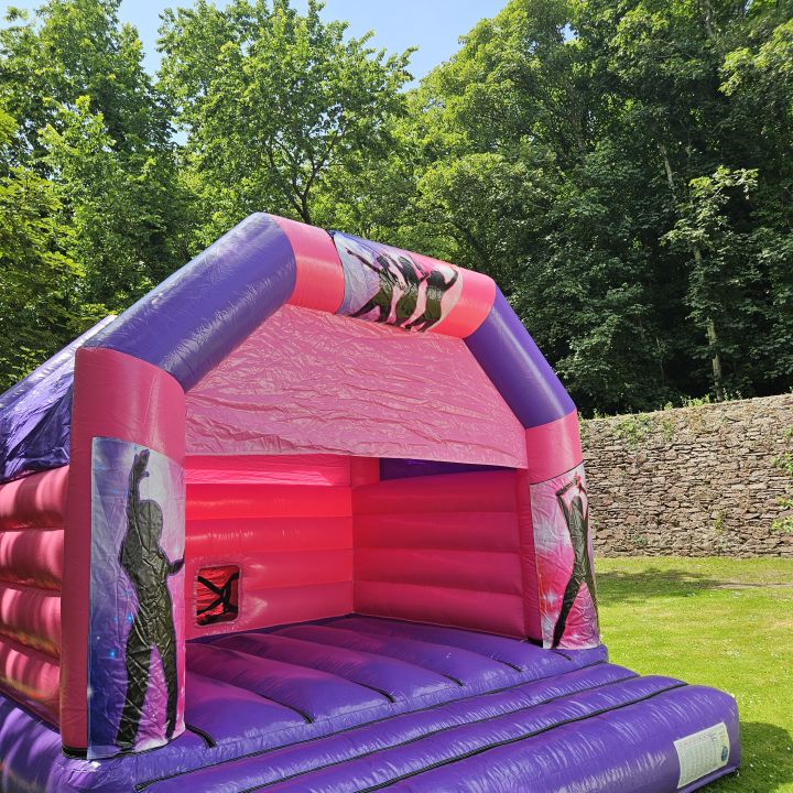 Pink and Purple Disco Bouncy Castle